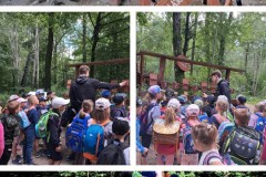 20240620_221644-COLLAGE