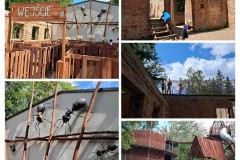 20240620_221804-COLLAGE