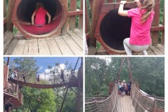 20240621_051346-COLLAGE