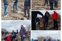 20260322_180541-COLLAGE