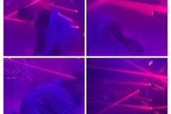 20231128_173946-COLLAGE