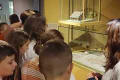 IMG-20231002-WA0012