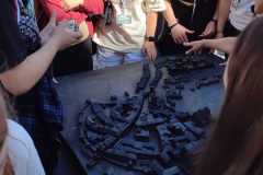 IMG-20231002-WA0030