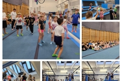 20260109_194331-COLLAGE