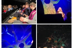 20260109_195059-COLLAGE