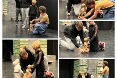 20260109_195525-COLLAGE