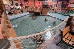 20231011_155328_2011