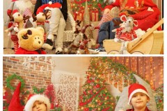 20241207_144343-COLLAGE