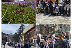 20260318_164449-COLLAGE