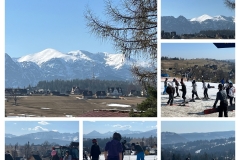 20260318_164732-COLLAGE