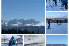 20260318_170710-COLLAGE