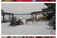 20231201_185721-COLLAGE