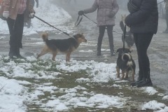 20221126_093049