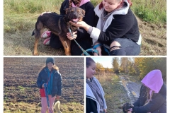 20251028_061826-COLLAGE