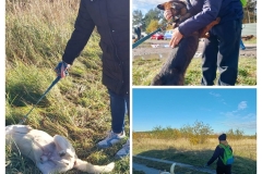 20251028_061859-COLLAGE 20251028_061859-COLLAGE