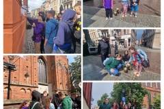 20250614_170814-COLLAGE
