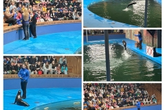 20250614_172253-COLLAGE