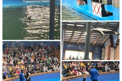 20250614_172331-COLLAGE