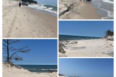 20250614_173227-COLLAGE
