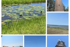 20250614_173344-COLLAGE