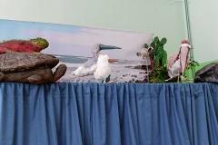 IMG20221124100821