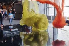 20221019_093520