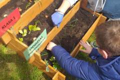 received_1178509249483389