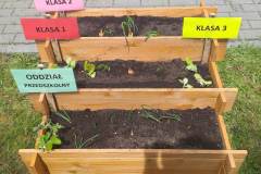 received_1261462281168814