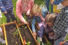 received_1915494382153301