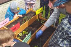 received_3480976525553296