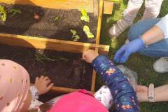 received_736052544868764