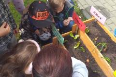 received_742037287713433